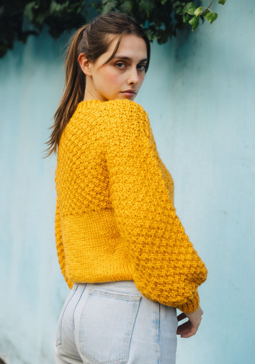 Chaleco Agatha Azul Amarillo