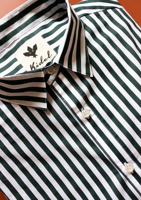 Camisa Ducato Rayas Verde