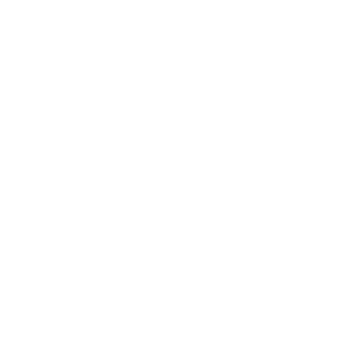 Kidel Chile
