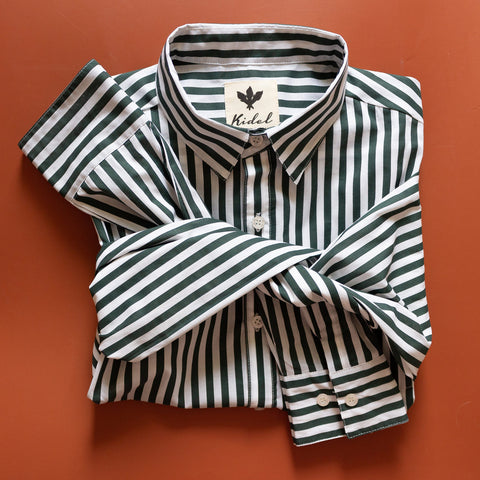 Camisa Ducato Rayas Verde