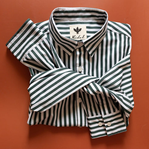 Camisa Ducato Rayas Verde