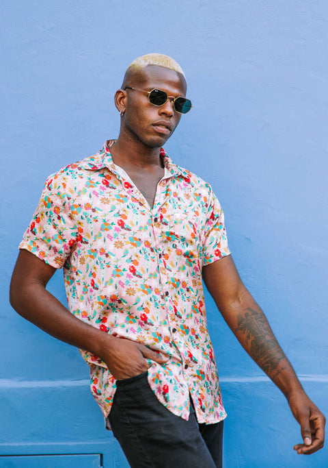 Guayaberas PET