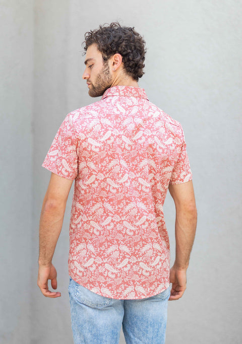 Guayabera hombre algodón Sari