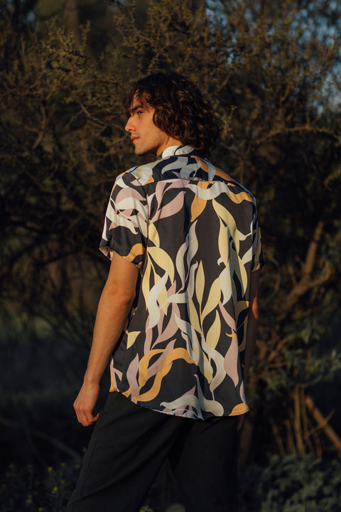 Guayabera Lamour Poitiers